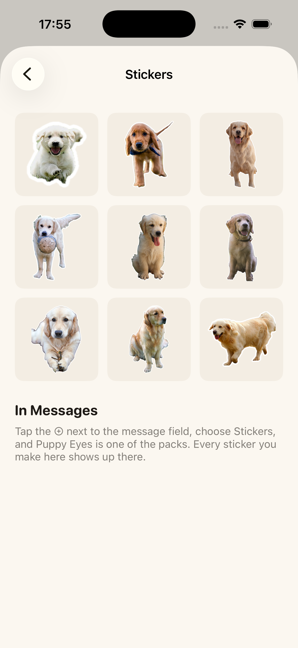 The stickers page: a grid of nine cut-outs of the same golden retriever